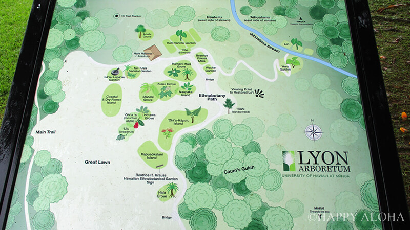LYON ARBORETUM MAP