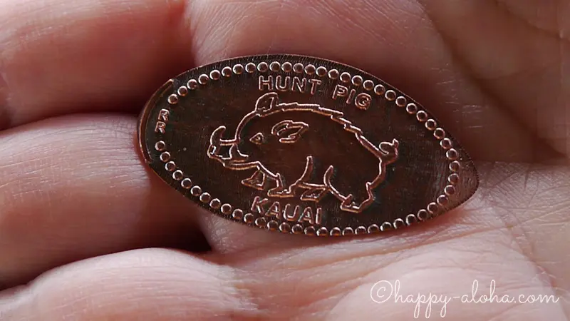 hunt-pig-kauai.jpg.webp