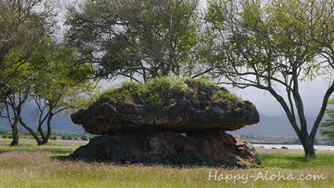 ポーハク・ラナイという不思議な巨大石