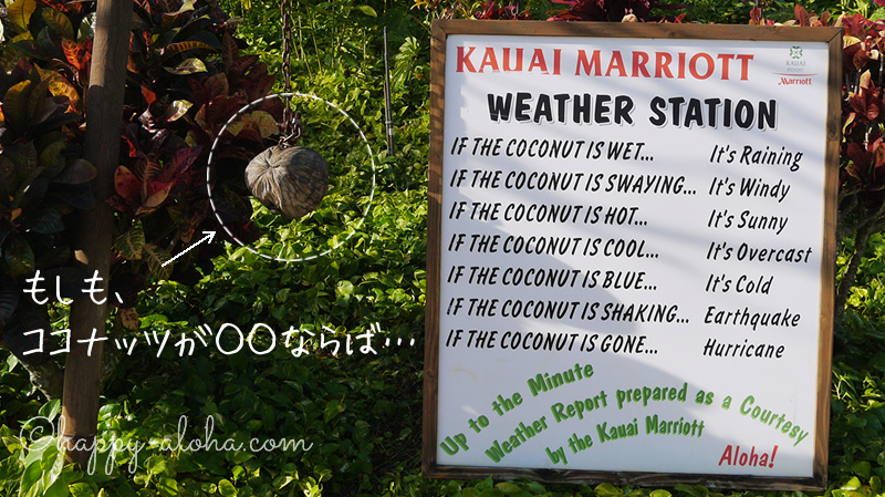 カウアイ島の天気予報と実際の天気は？｜旅行を快適に過ごすオススメの服装