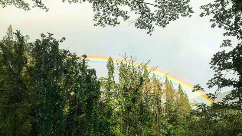 マノア渓谷の虹